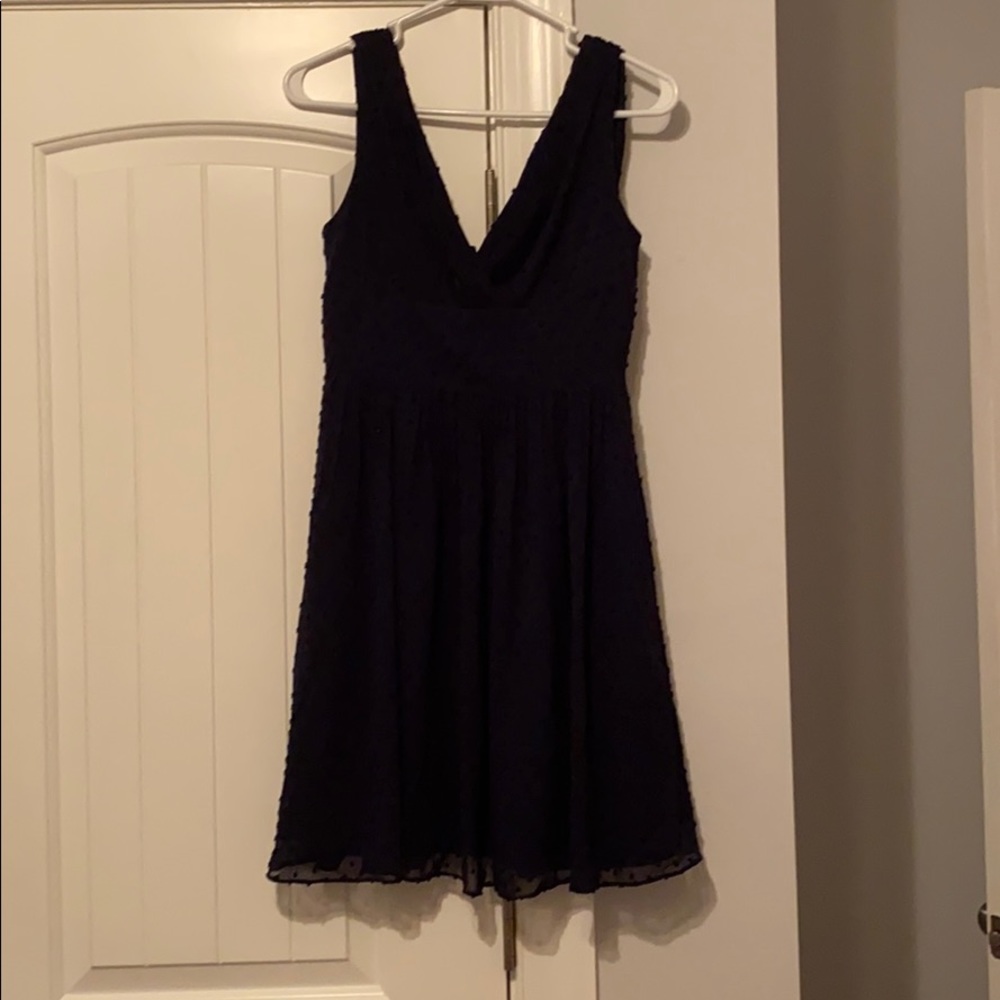 JCrew Navy Swiss Dot Dress size 2P